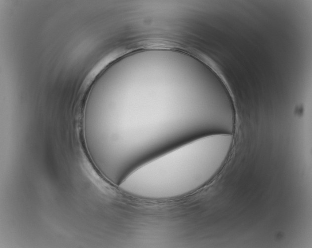 X0000114011195200910020945