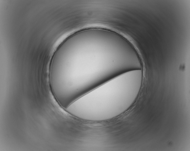 X0000114011199200910020945