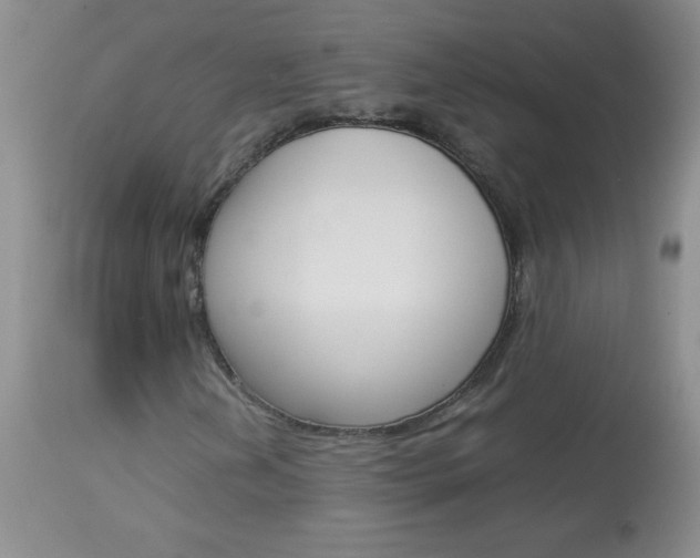 X0000114011202200910020944
