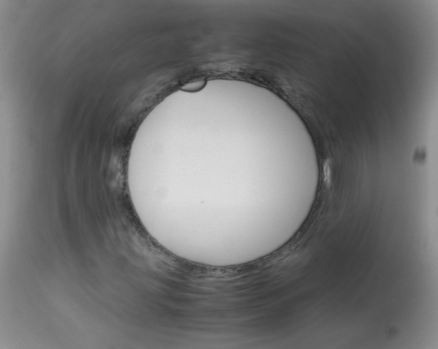 X0000114011203200910020944