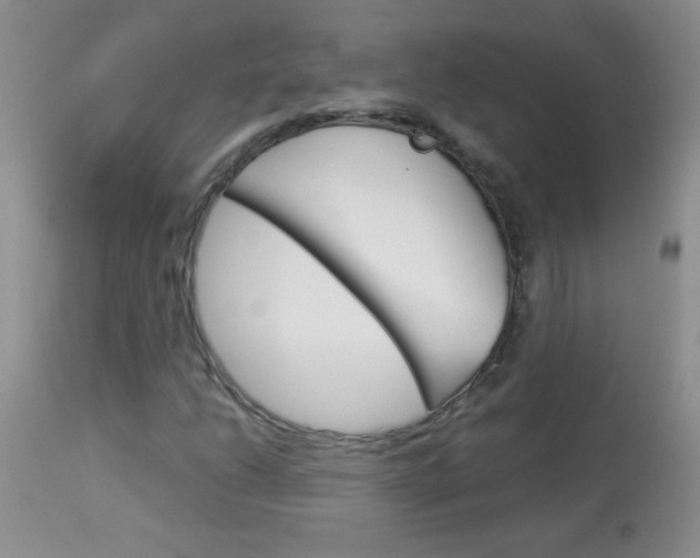 X0000114011206200910020944