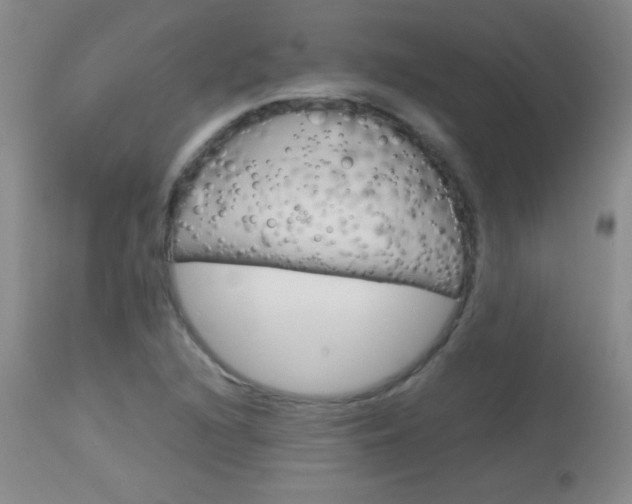 X0000114011216200910020945