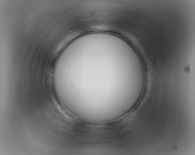 X0000114011225200910020945