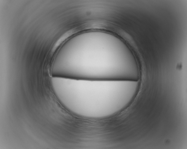 X0000114011226200910020945
