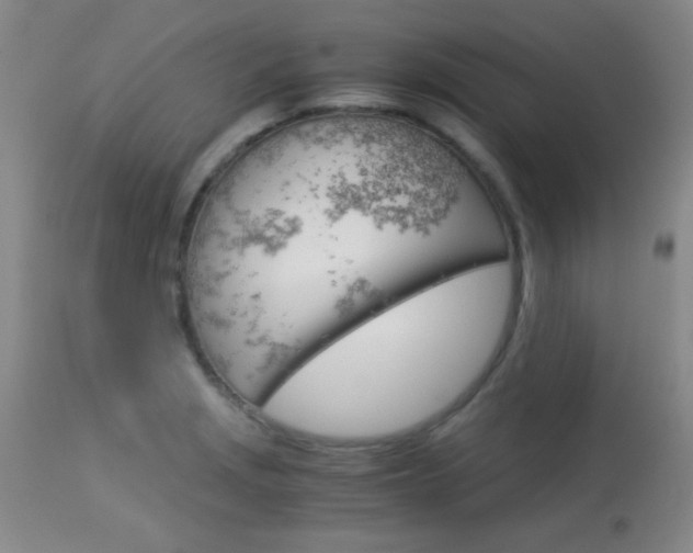 X0000114011229200910020945