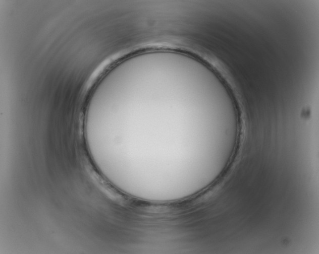 X0000114011232200910020945