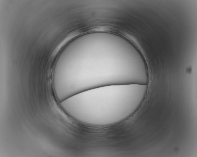 X0000114011235200910020945