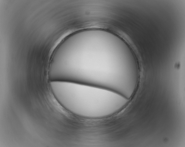 X0000114011236200910020945