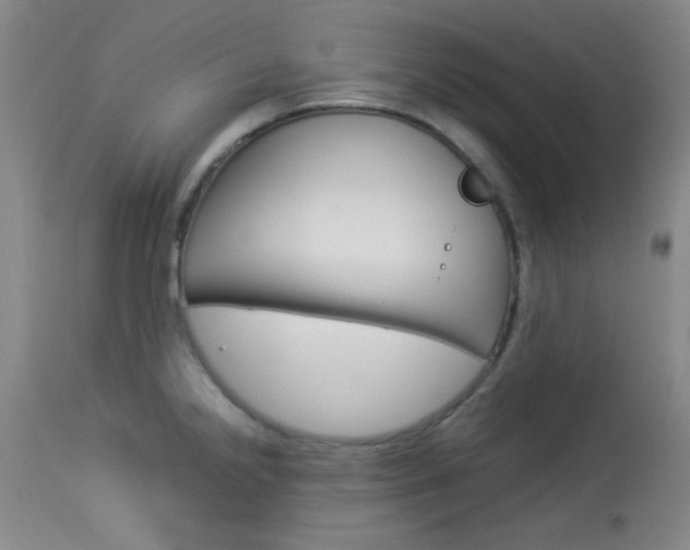 X0000114011238200910020945