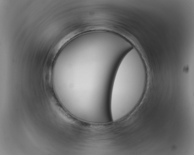 X0000114011242200910020945