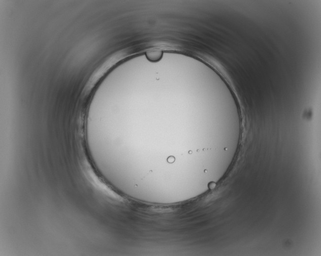 X0000114011243200910020945
