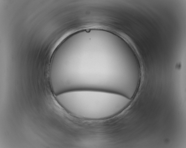 X0000114011244200910020945