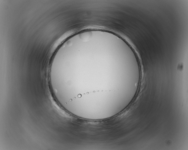 X0000114011245200910020945