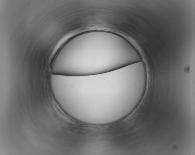 X0000114011246200910020945