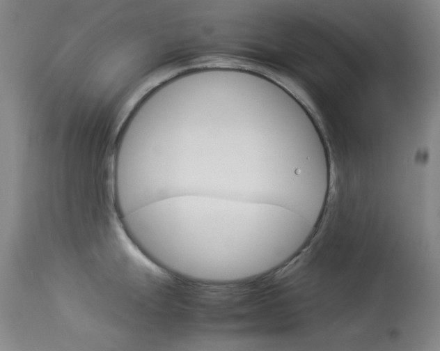 X0000114011247200910020945