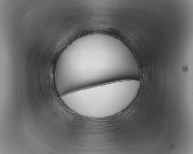 X0000114011252200910020944