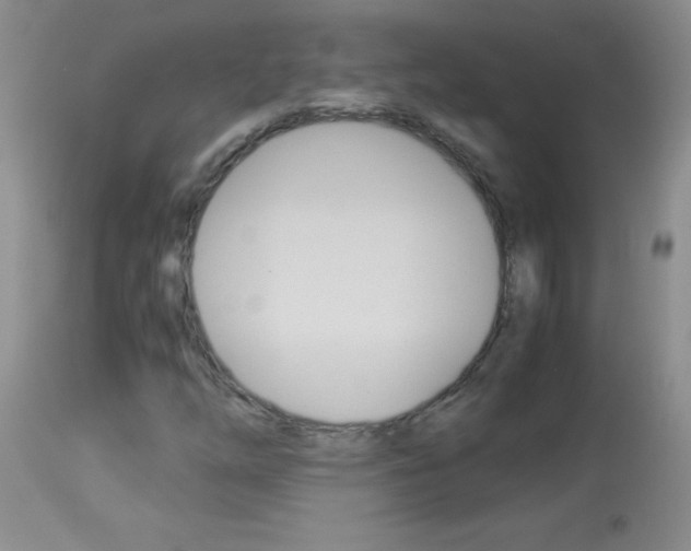 X0000114011254200910020944