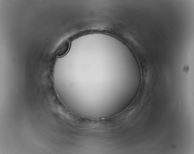 X0000114011256200910020944