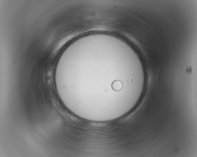 X0000114011258200910020944
