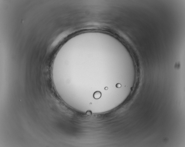 X0000114011259200910020944