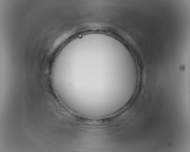 X0000114011261200910020944