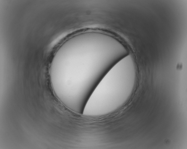 X0000114011263200910020944