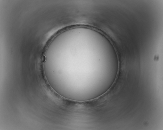 X0000114011264200910020944