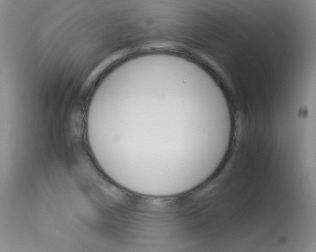X0000114011266200910020944