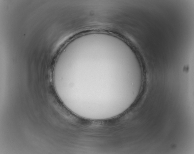 X0000114011267200910020944