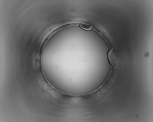 X0000114011268200910020944