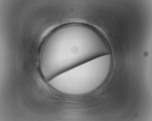 X0000114011271200910020944