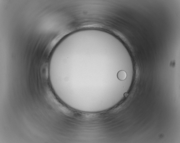 X0000114011274200910020944
