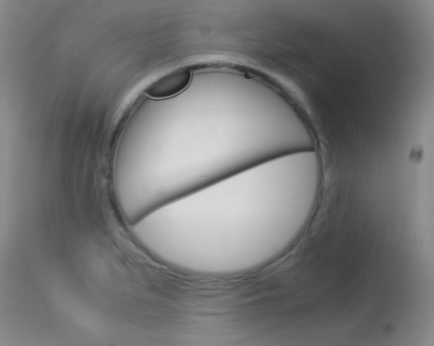 X0000114011279200910020944