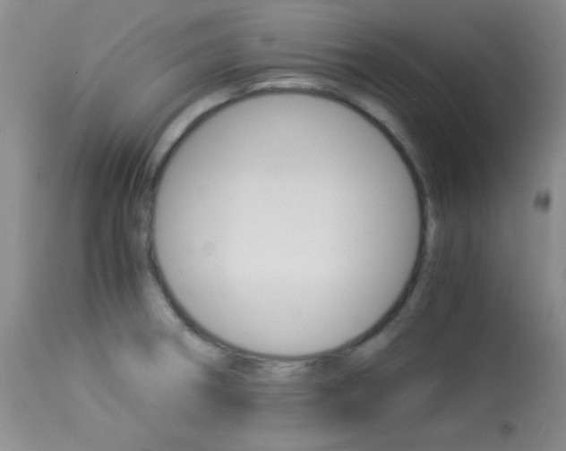 X0000114011282200910020944