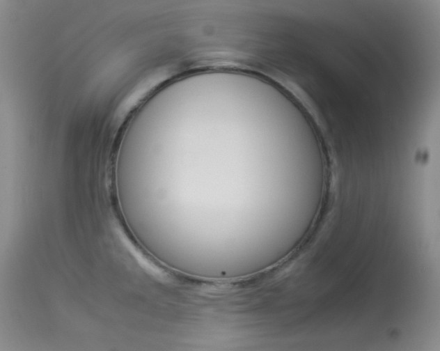 X0000114011285200910020944