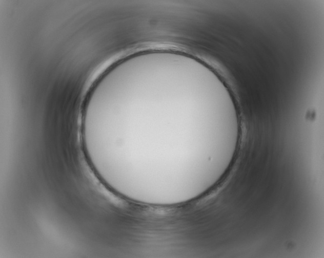 X0000114011286200910020944