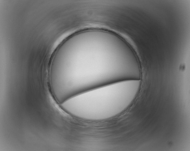 X0000114011287200910020944