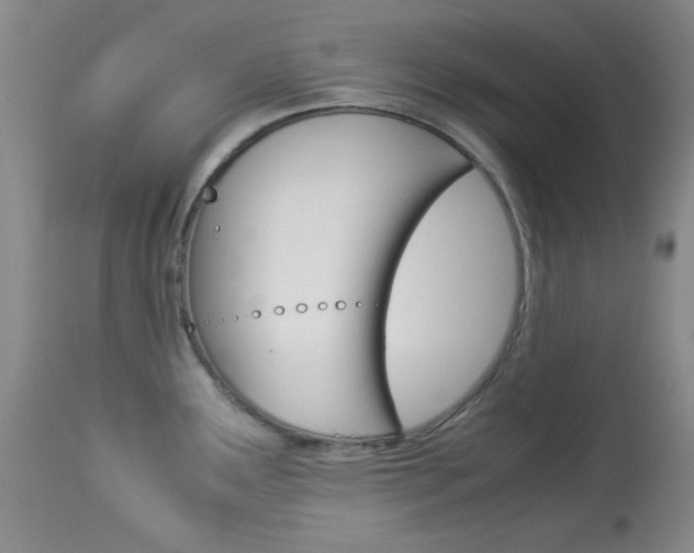 X0000114011291200910020944