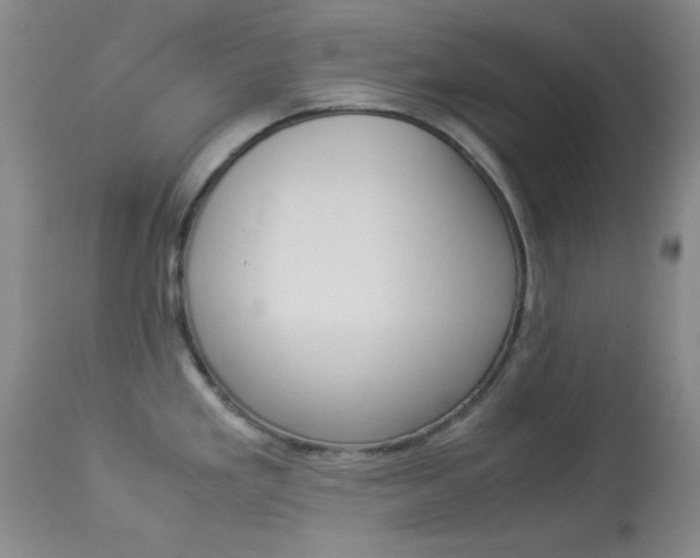 X0000114011293200910020944