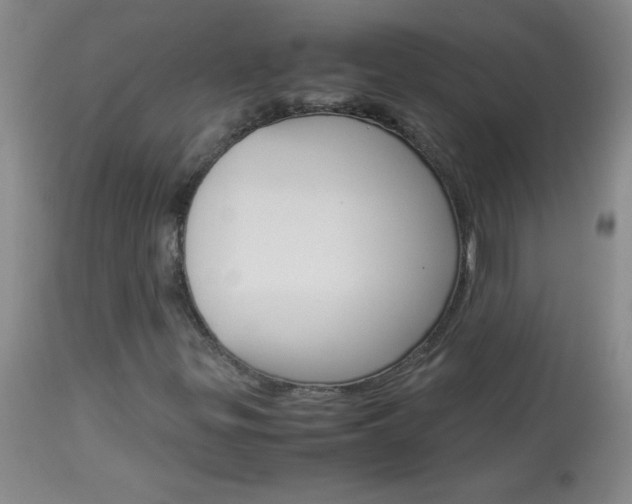 X0000114011299200910020943