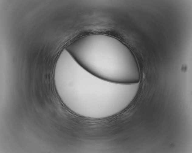 X0000114011300200910020943