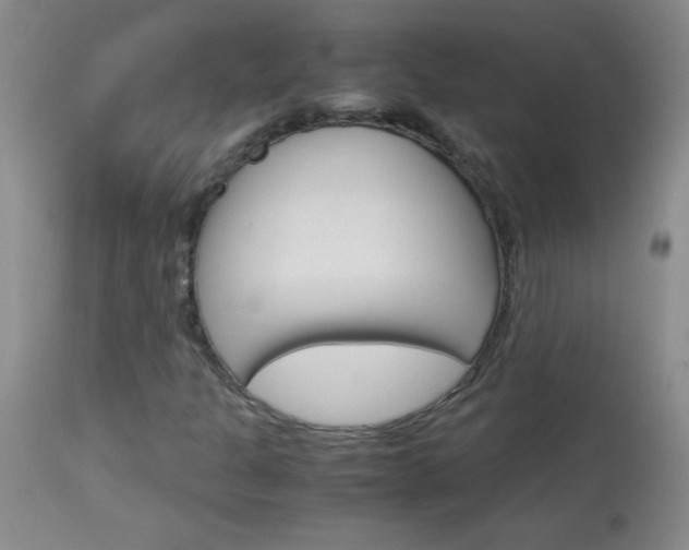 X0000114011301200910020943