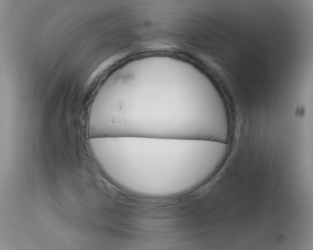 X0000114011306200910020943