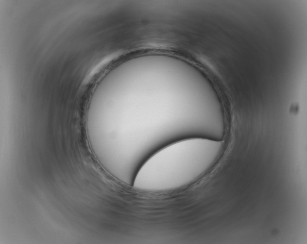 X0000114011307200910020943