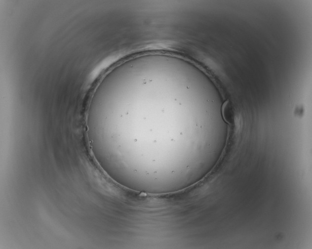 X0000114011308200910020943
