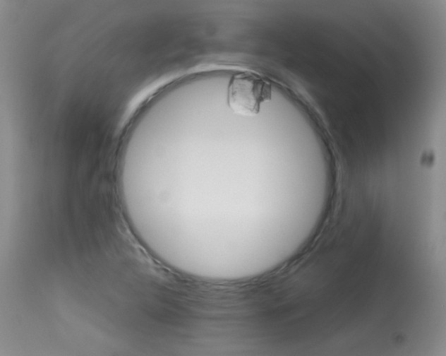 X0000114011312200910020943
