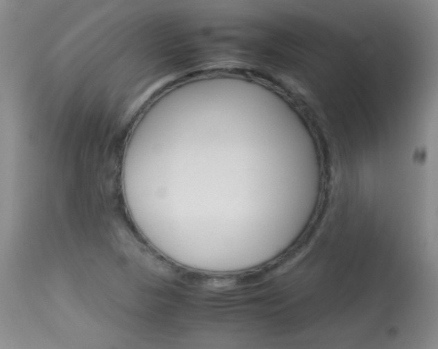 X0000114011313200910020943