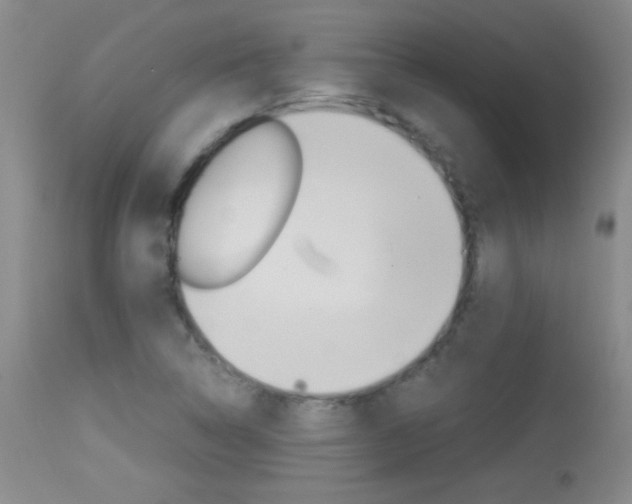 X0000114011314200910020943