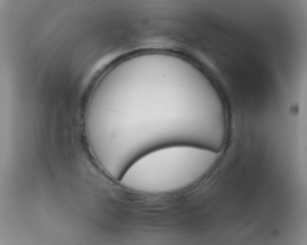 X0000114011315200910020943