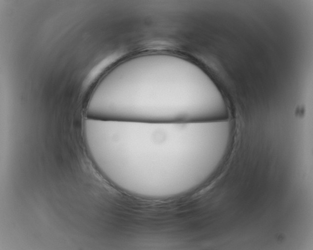 X0000114011317200910020943